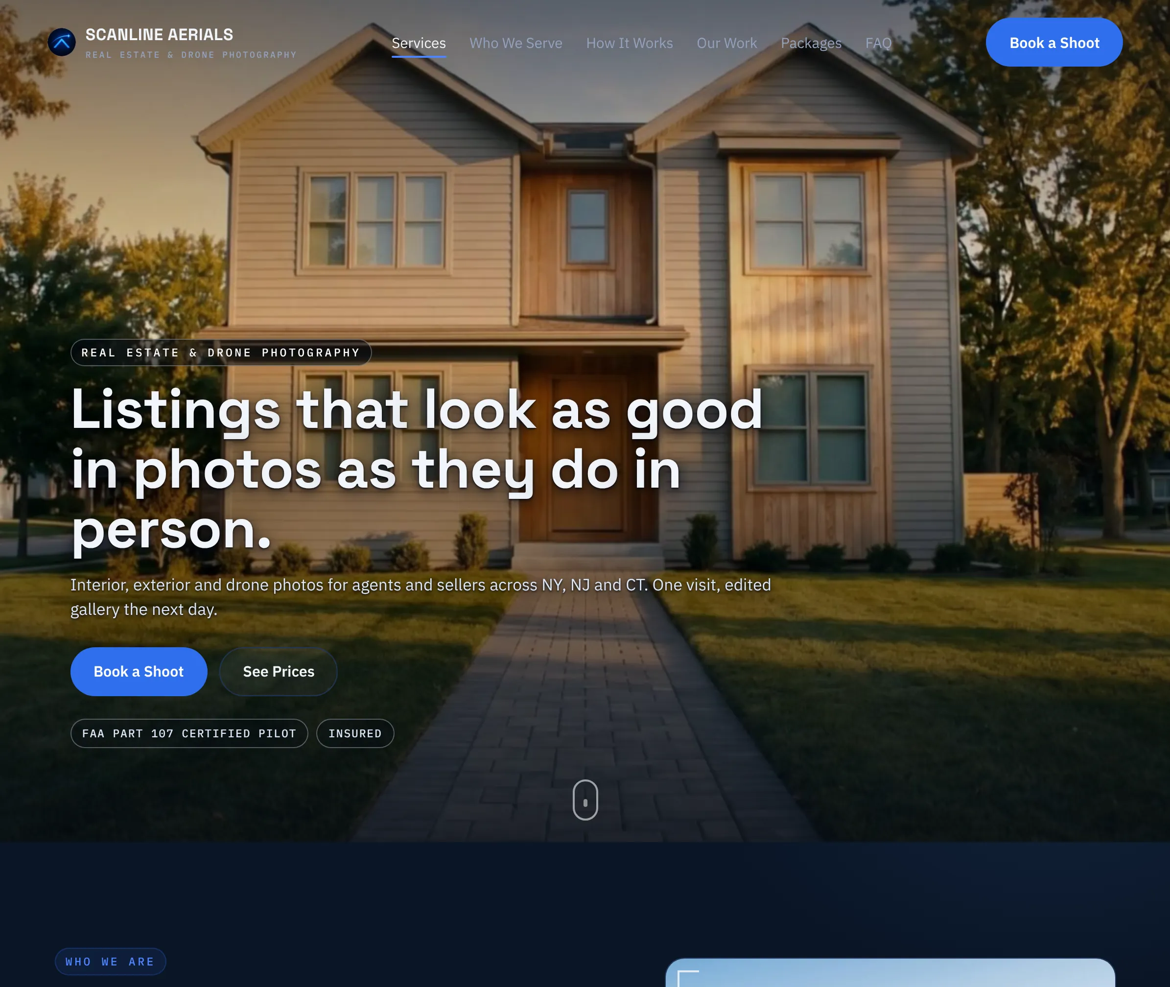 Scanline Aerials home page